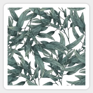 Eucalyptus in mint Sticker